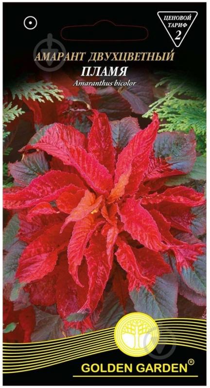 Семена Golden Garden амарант двухцветный Пламя 0,3 г - фото 1
