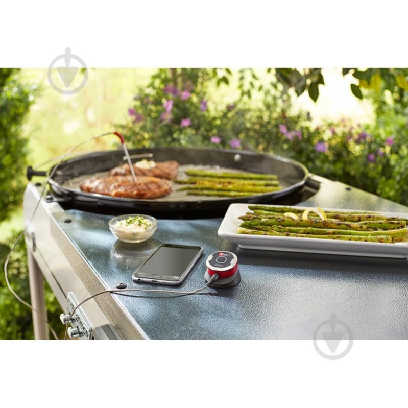 Термометр-модуль Weber iGrill mini 7220 - фото 3