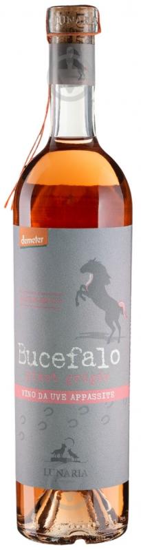 Вино Lunaria Bucefalo Pinot Grigio Terre Di Chieti 0,75 л - фото 1 Вино Lunaria Bucefalo Pinot Grigio Terre Di Chieti 0,75 л - фото 1