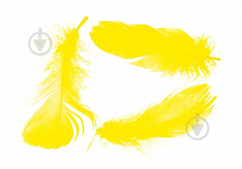 Наповнювач декоративний Maxi Пір'я" 10г, жовтий - фото 2