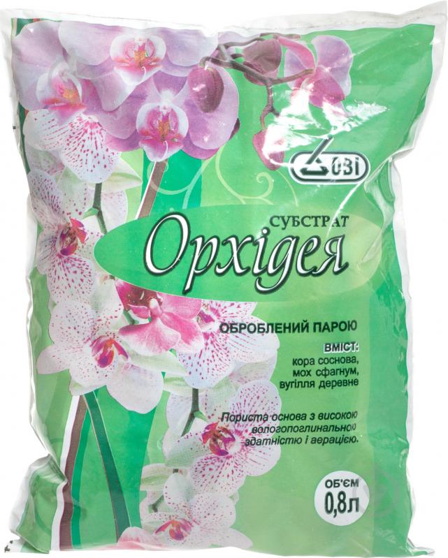 Належний догляд за орхідеями з використанням кори