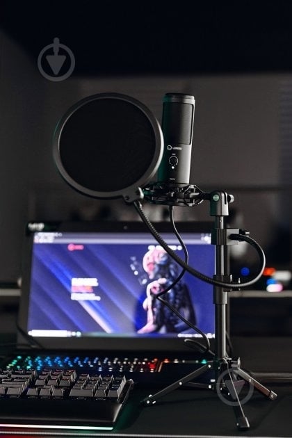 Микрофон LORGAR Voicer 721 (LRG-CMT721) - фото 4