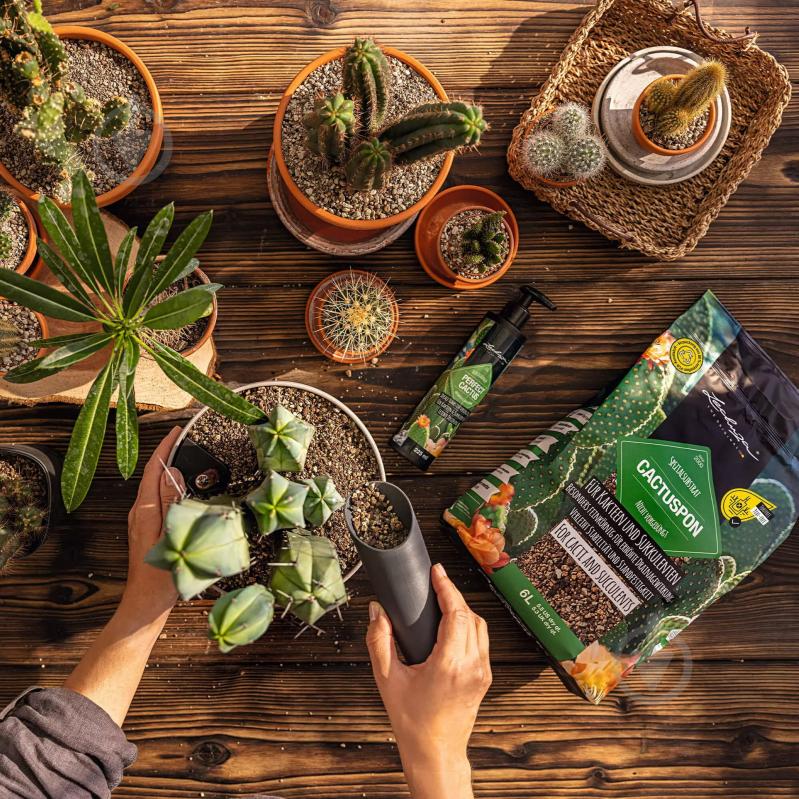 Субстрат Lechuza CACTUSPON 3 л - фото 11