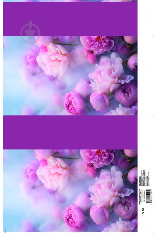 Пакет подарочный "С" в ассортименте - фото 1 Пакет подарочный "С" в ассортименте - фото 1