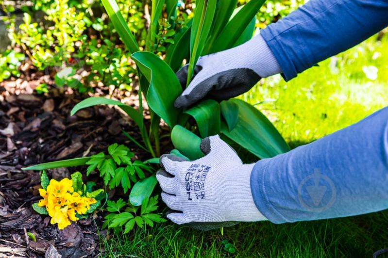 Перчатки NEO tools с покрытием латекс M (8) 97-640-8 - фото 6 Перчатки NEO tools с покрытием латекс M (8) 97-640-8 - фото 6