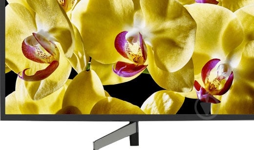 Телевізор Sony KD65XG8096BR2 - фото 4