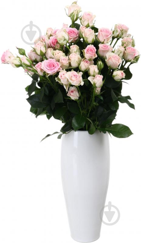 Троянда Гуд Муд пучок піоновидна 45 см рожева (Україна) - фото 3