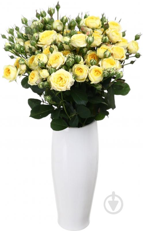 Троянда Лемон Трендсетер пучок піоновидна 50 см жовта (Україна) - фото 3