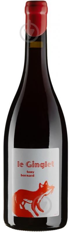 Trousseau Le Ginglet 2018 (Magnum)