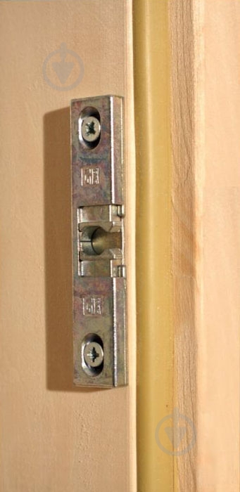 Двері для сауни Tesli Briz sateen 700х1900 мм - фото 5
