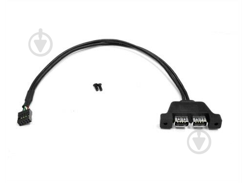 Кабель компьютерный внутренний ASRock 0,5 м черный (DM2USB) - фото 1