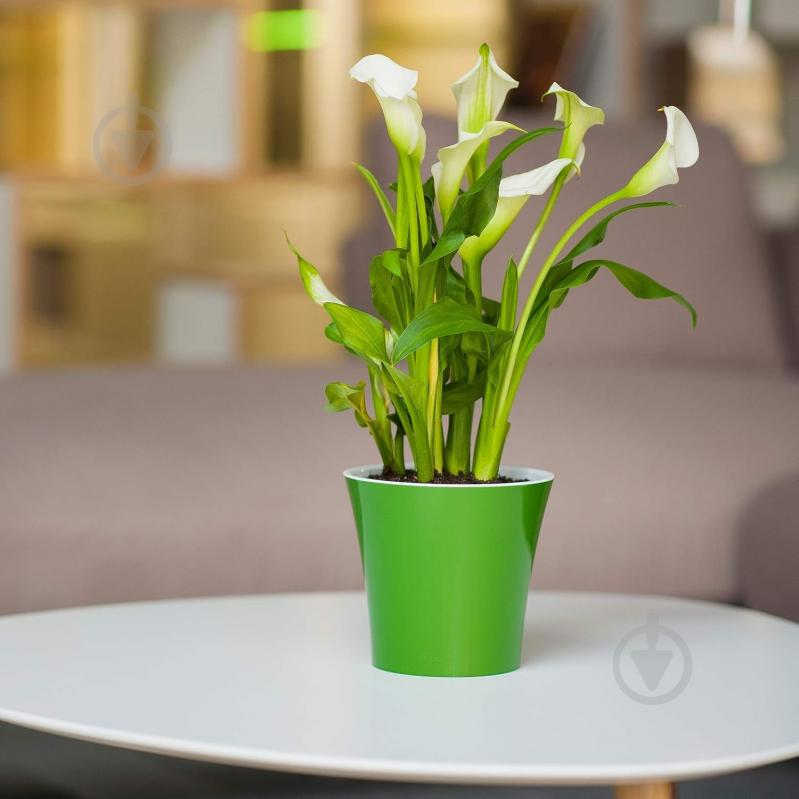 Вазон пластик Arte круглий біло-золотий 0,6 л Santino (2004352) - фото 5