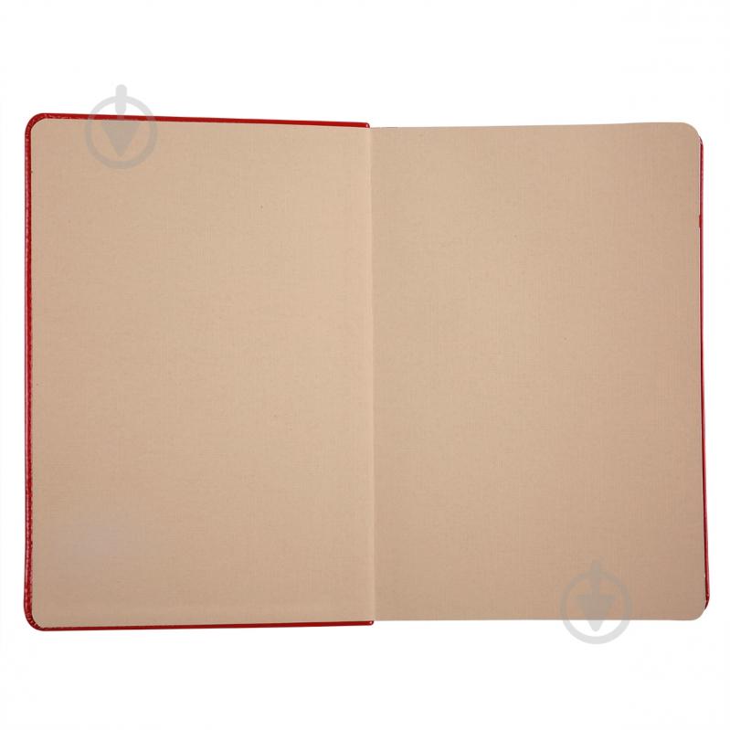Дневник датированный Aldento Leo Planner A5 252671 красный - фото 3