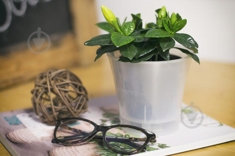 Вазон пластик Arte круглий антрацит із білим 2 л Santino (2016317) - фото 4 Вазон пластик Arte круглий антрацит із білим 2 л Santino (2016317) - фото 4