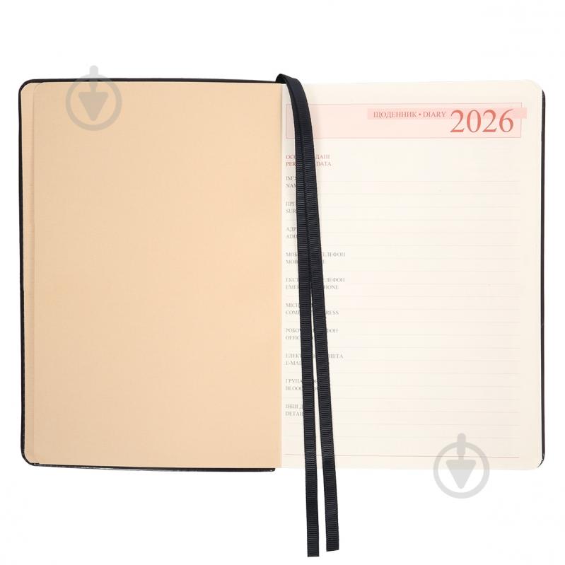 Дневник датированный Aldento Leo Planner A5 252672 синий - фото 4