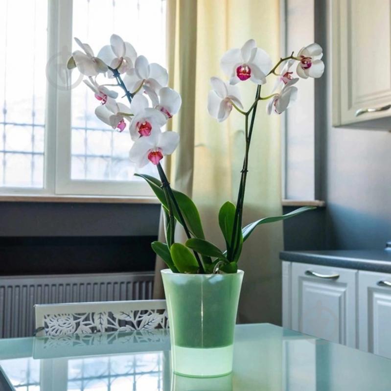 Вазон пластик Arte-Dea круглый бледно-зеленый 1,25 л Santino (2017055) - фото 3