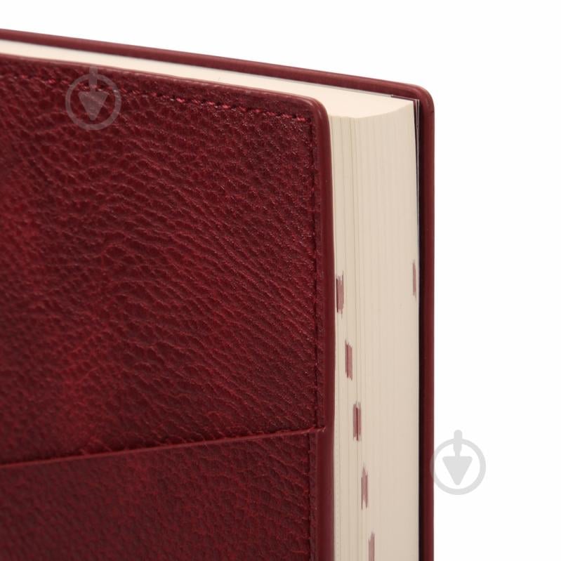 Дневник датированный Credo Leo Planner A5 252645 красный - фото 2