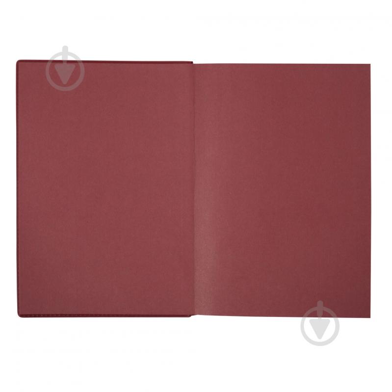 Дневник датированный Credo Leo Planner A5 252645 красный - фото 5