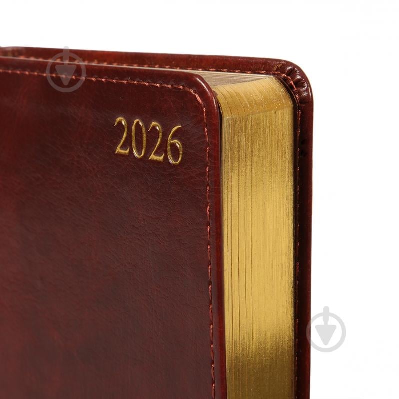 Дневник датированный Aldento, интегральный Leo Planner A6 252674 коричневый - фото 2
