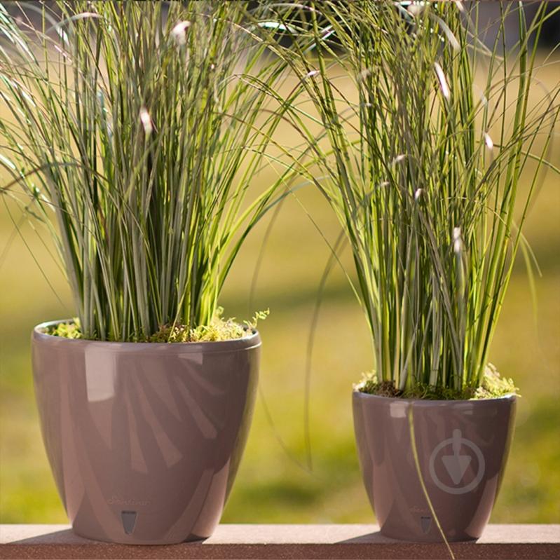 Вазон пластик Deco Twin круглый шаде 2,5 л Santino (2009005) - фото 8 Вазон пластик Deco Twin круглый шаде 2,5 л Santino (2009005) - фото 8