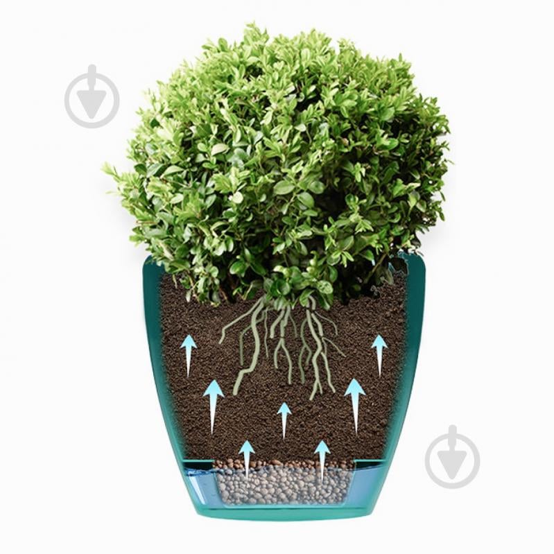 Вазон пластик Deco Twin круглый прозрачный 4 л Santino (2009067) - фото 2 Вазон пластик Deco Twin круглый прозрачный 4 л Santino (2009067) - фото 2