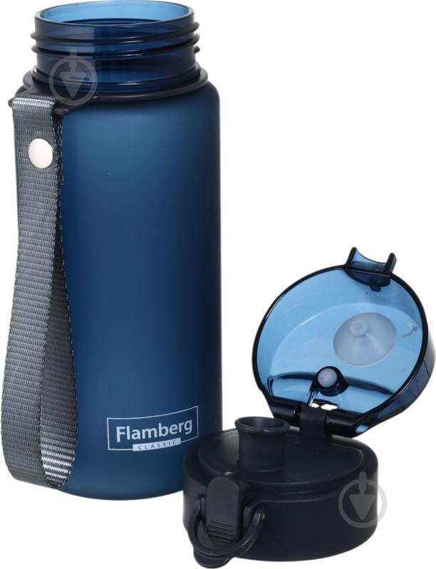Бутылка для воды Flamberg Raven 450 мл синий - фото 9