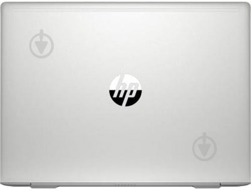 Ноутбук HP ProBook 445 G7 14 (7RX17AV_V11) silver - фото 7