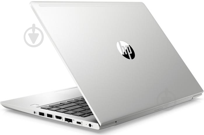 Ноутбук HP ProBook 445 G7 14 (7RX18AV_V4) silver - фото 4