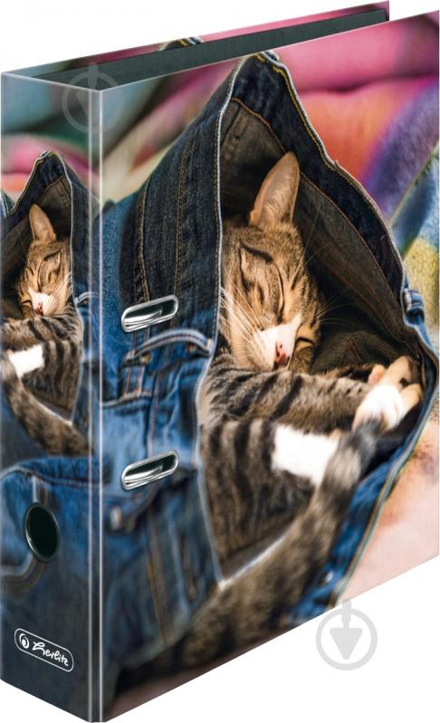 Папка-регистратор Jeans Cat Котенок Herlitz - фото 1