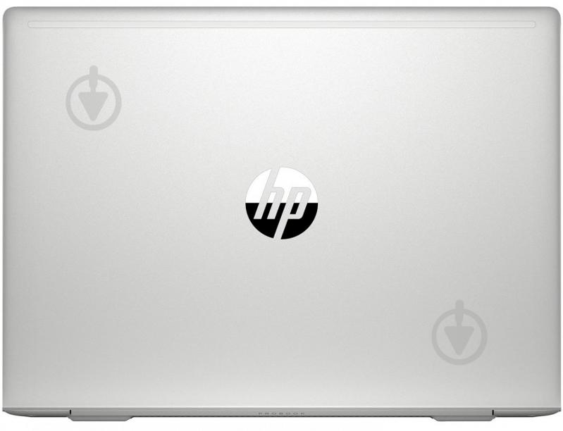 Ноутбук HP ProBook 445 G7 14 (7RX18AV_V10) silver - фото 6
