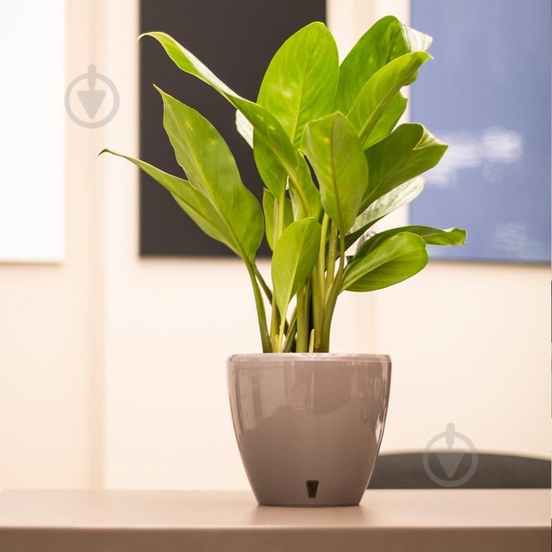 Вазон пластик Deco Twin круглый шаде 12 л Santino (2010650) - фото 6