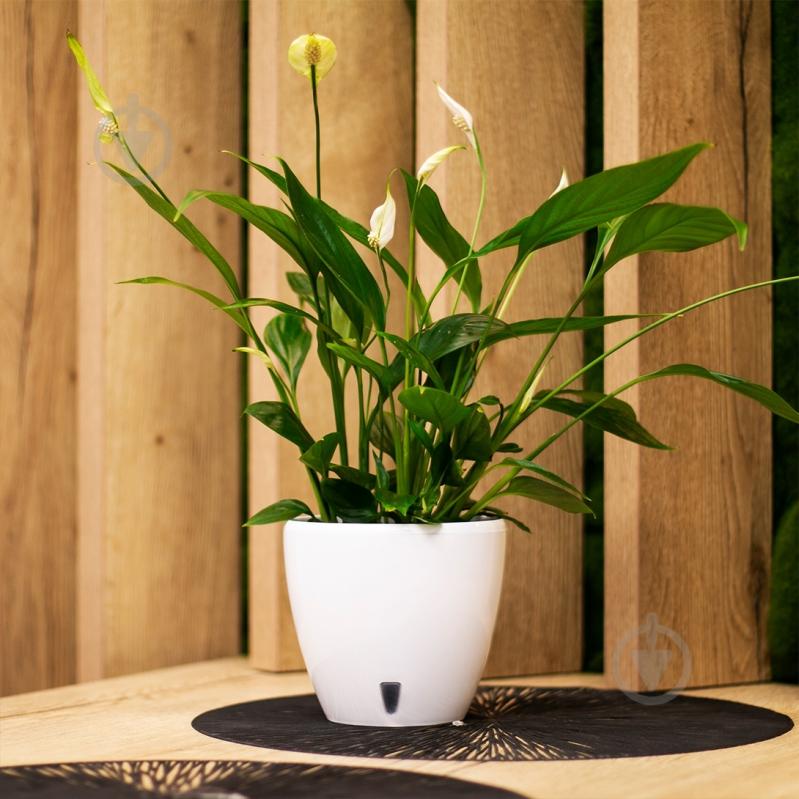 Вазон пластик Deco Twin круглый шаде 12 л Santino (2010650) - фото 7