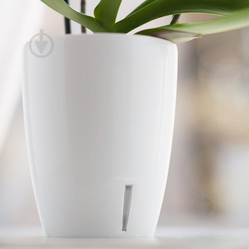 Вазон пластик Orchidea Twin круглый белый глянец 3,3 л Santino (2021755) - фото 4 Вазон пластик Orchidea Twin круглый белый глянец 3,3 л Santino (2021755) - фото 4