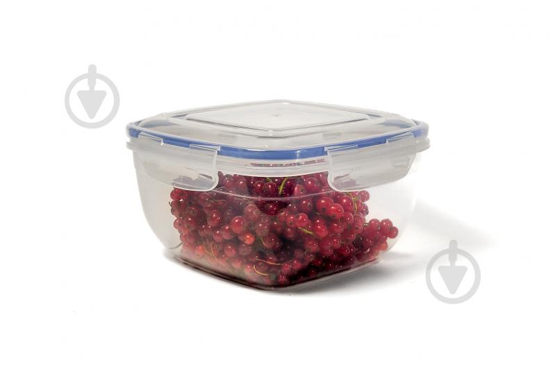 Контейнер пищевой Stars Plast 900 мл - фото 4