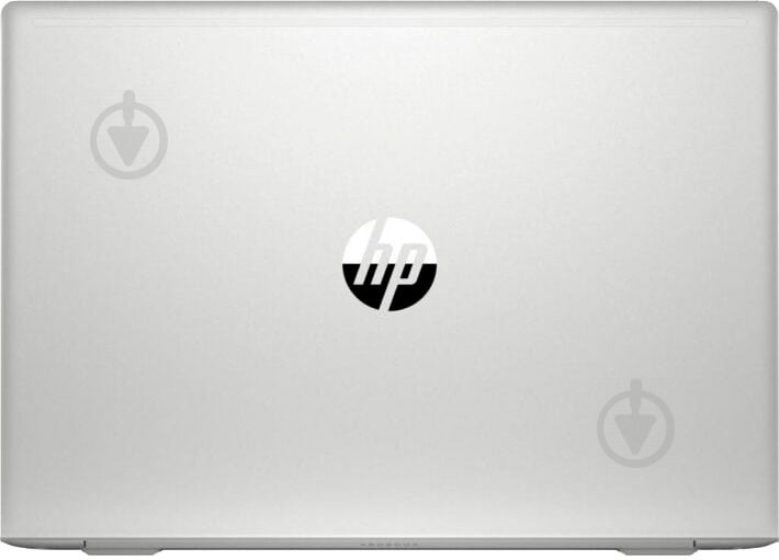 Ноутбук HP ProBook 455 G7 15,6 (7JN02AV_V20) silver - фото 5