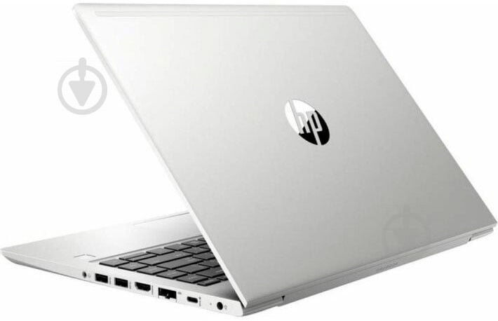 Ноутбук HP ProBook 455 G7 15,6 (7JN02AV_V20) silver - фото 7