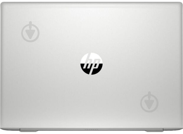 Ноутбук HP ProBook 455 G7 15,6 (7JN02AV_V13) silver - фото 6