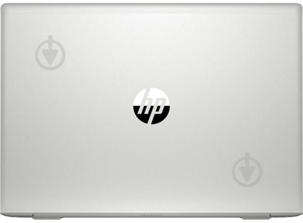 Ноутбук HP ProBook 455 G7 15,6 (7JN03AV_V13) silver - фото 6