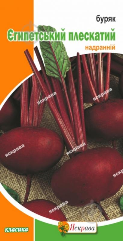 Семена Яскрава свекла Египетская плоская 3 г (4823069800086) - фото 1 Семена Яскрава свекла Египетская плоская 3 г (4823069800086) - фото 1