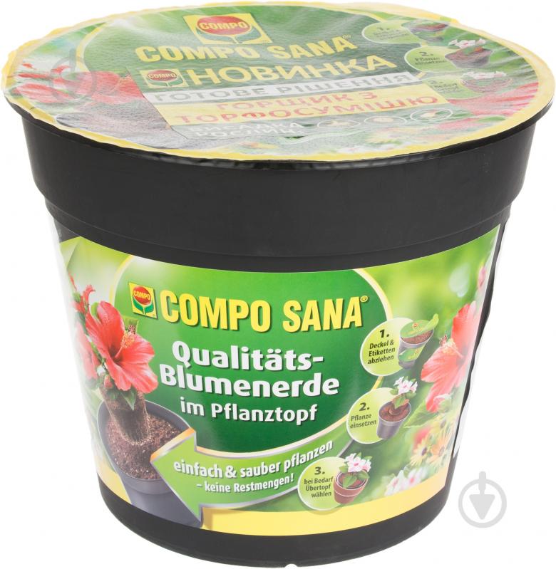 Торфосмесь COMPO в горшке 3,5 л - фото 1