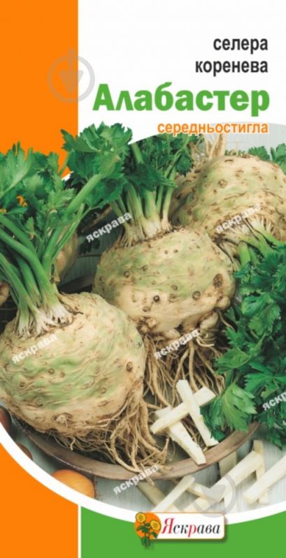 Семена Яскрава сельдерей Алабастер 0,2 г (4823069802479) - фото 1