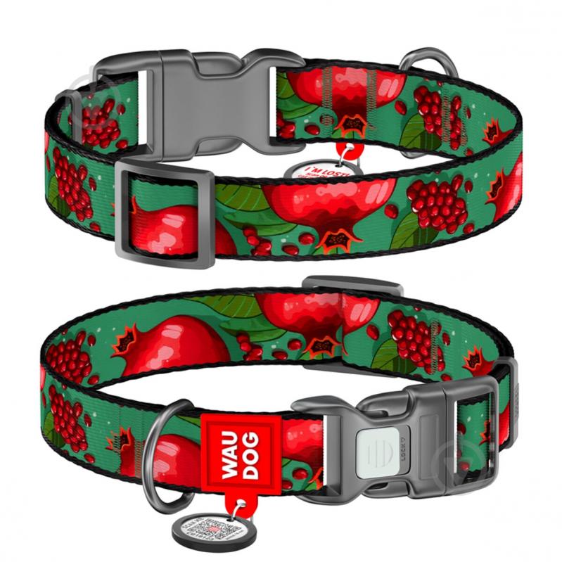 Ошейник Waudog Nylon рисунок "Гранаты" пластиковый фастекс М Ш20 мм Д28-40 см - фото 1 Ошейник Waudog Nylon рисунок "Гранаты" пластиковый фастекс М Ш20 мм Д28-40 см - фото 1