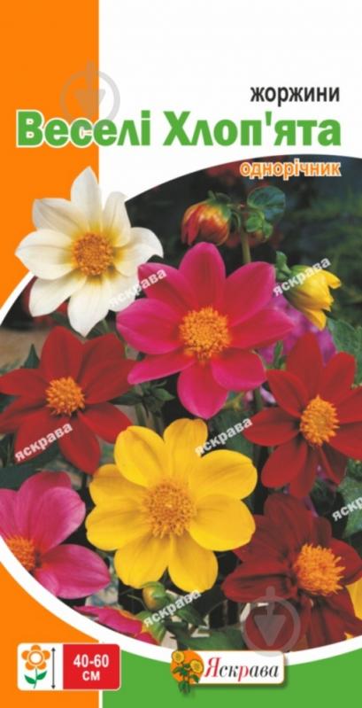 Семена Яскрава георгина Веселые Ребята смесь 0,3 г (4823069805470) - фото 1