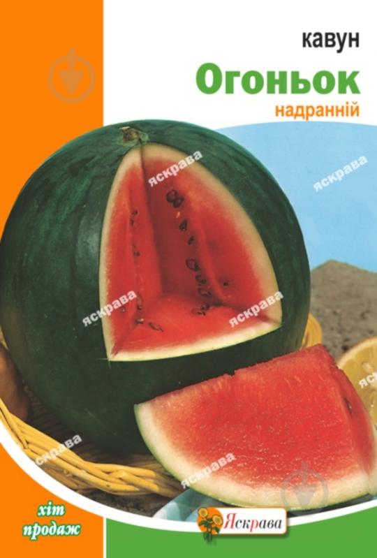 Семена Яскрава арбуз Огонек 20 г (4823069803292) - фото 1