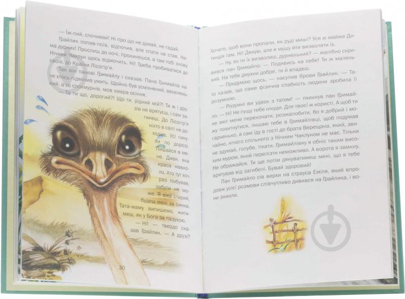 Книга Всеволод Нестайко «Чародій Будьласка і чаклун Нетреба» 978-617-538-364-3 - фото 3