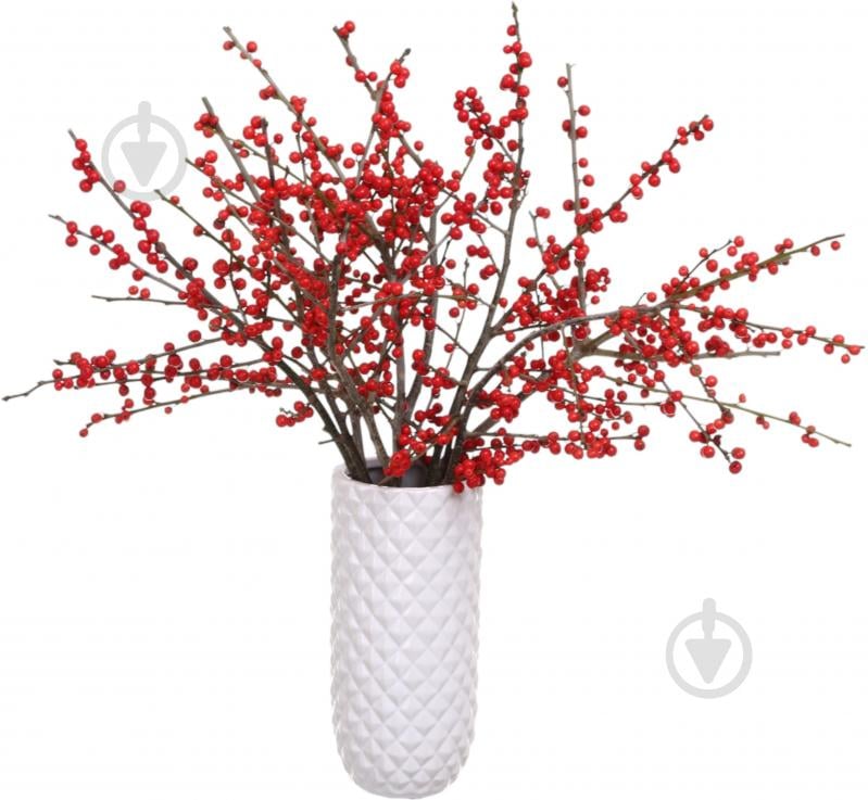 Илекс 60 см красный (Нидерланды) - фото 4