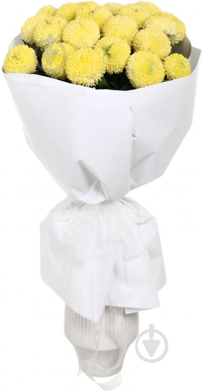 Фрезия Honeymoon 50 см розовая (Нидерланды) - фото 5