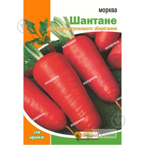 Семена Яскрава морковь Шантане 10 г (4823069803735) - фото 1 Семена Яскрава морковь Шантане 10 г (4823069803735) - фото 1