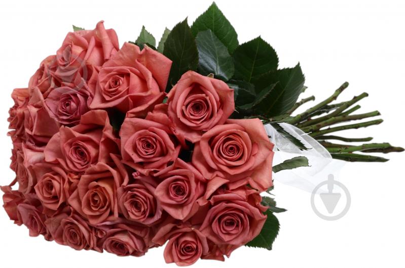 Роза Painted Barista 50 см коричневая (Нидерланды) - фото 3