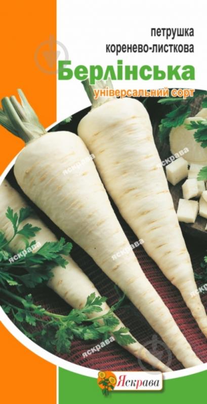 Семена Яскрава петрушка корневая Берлинская 20 г (4823069803889) - фото 1